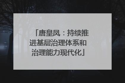 唐皇凤：持续推进基层治理体系和治理能力现代化