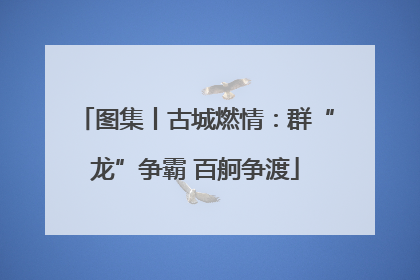 图集丨古城燃情：群“龙”争霸 百舸争渡