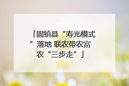 固镇县“寿光模式”落地 联农带农富农“三步走”