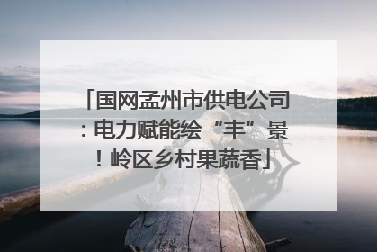 国网孟州市供电公司：电力赋能绘“丰”景！岭区乡村果蔬香