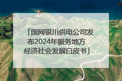 国网银川供电公司发布2024年服务地方经济社会发展白皮书