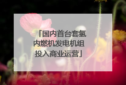 国内首台套氢内燃机发电机组投入商业运营