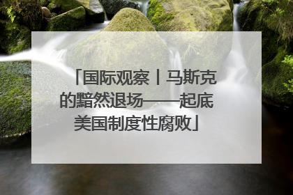 国际观察丨马斯克的黯然退场——起底美国制度性腐败