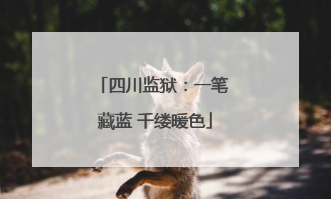 四川监狱：一笔藏蓝 千缕暖色