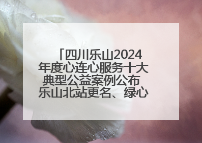 四川乐山2024年度心连心服务十大典型公益案例公布 乐山北站更名、绿心路井盖治理等上榜
