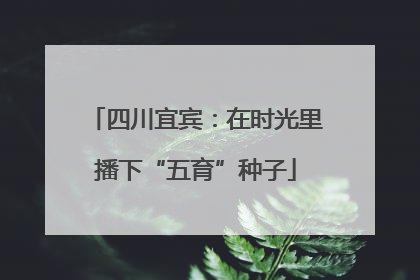 四川宜宾：在时光里播下“五育”种子