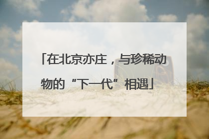 在北京亦庄，与珍稀动物的“下一代”相遇