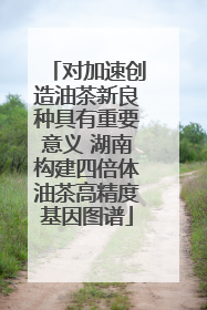 对加速创造油茶新良种具有重要意义 湖南构建四倍体油茶高精度基因图谱