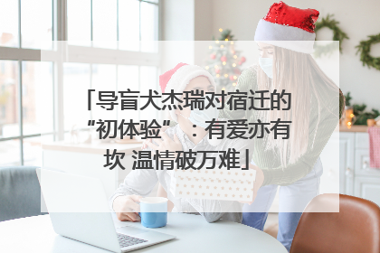 导盲犬杰瑞对宿迁的“初体验”：有爱亦有坎 温情破万难