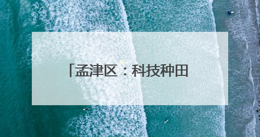孟津区：科技种田 上演小麦“逆袭”记
