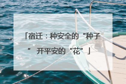 宿迁：种安全的“种子” 开平安的“花”