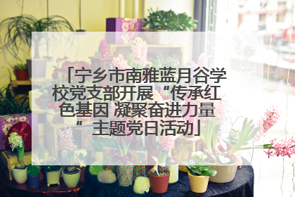 宁乡市南雅蓝月谷学校党支部开展“传承红色基因 凝聚奋进力量”主题党日活动