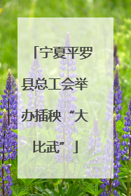 宁夏平罗县总工会举办插秧“大比武”