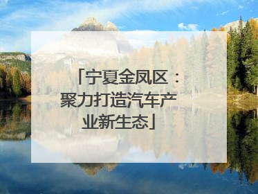 宁夏金凤区：聚力打造汽车产业新生态