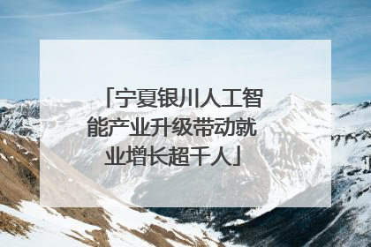 宁夏银川人工智能产业升级带动就业增长超千人