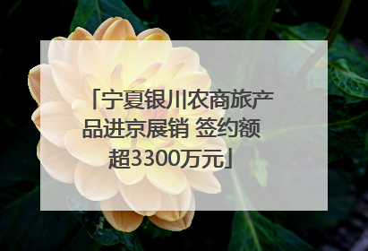 宁夏银川农商旅产品进京展销 签约额超3300万元
