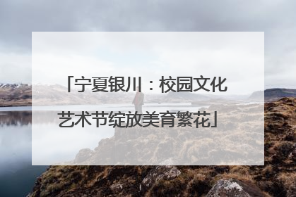 宁夏银川：校园文化艺术节绽放美育繁花
