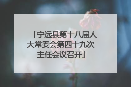 宁远县第十八届人大常委会第四十九次主任会议召开