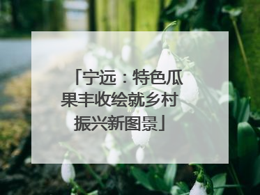 宁远：特色瓜果丰收绘就乡村振兴新图景