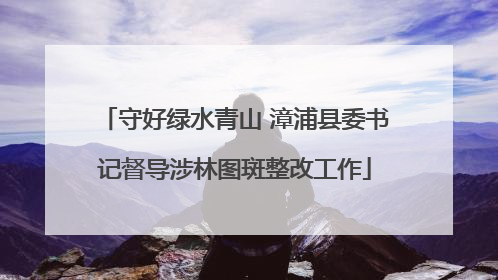 守好绿水青山 漳浦县委书记督导涉林图斑整改工作