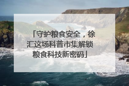 守护粮食安全，徐汇这场科普市集解锁粮食科技新密码