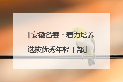 安徽省委：着力培养选拔优秀年轻干部