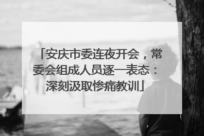 安庆市委连夜开会，常委会组成人员逐一表态：深刻汲取惨痛教训