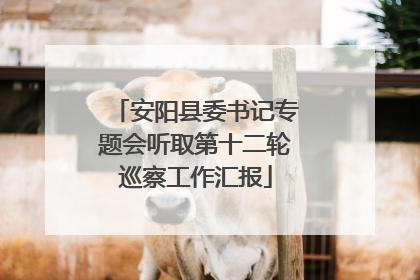 安阳县委书记专题会听取第十二轮巡察工作汇报