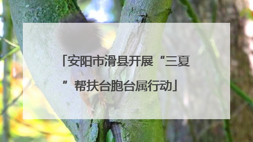 安阳市滑县开展“三夏”帮扶台胞台属行动