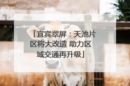 宜宾翠屏：天池片区将大改造 助力区域交通再升级