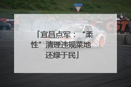 宜昌点军：“柔性”清理违规菜地 还绿于民