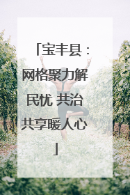 宝丰县：网格聚力解民忧 共治共享暖人心