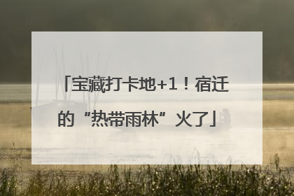 宝藏打卡地+1！宿迁的“热带雨林”火了