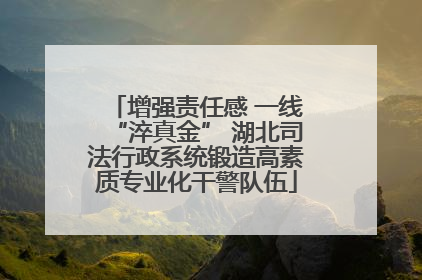 增强责任感 一线“淬真金” 湖北司法行政系统锻造高素质专业化干警队伍