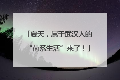 夏天，属于武汉人的“荷系生活”来了！