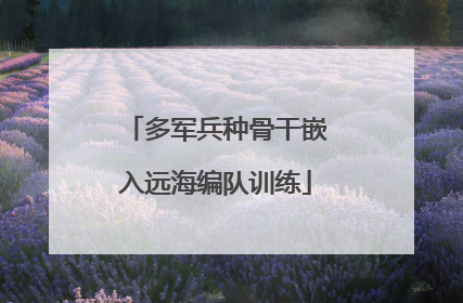 多军兵种骨干嵌入远海编队训练