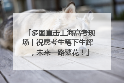 多图直击上海高考现场丨祝愿考生笔下生辉，未来一路繁花！