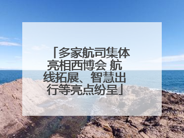 多家航司集体亮相西博会 航线拓展、智慧出行等亮点纷呈