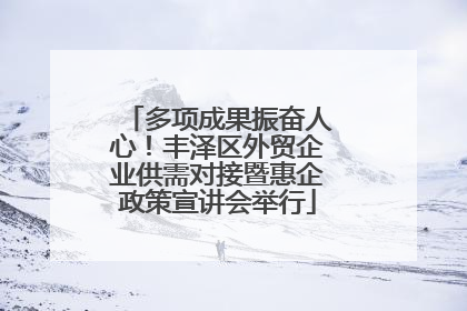 多项成果振奋人心！丰泽区外贸企业供需对接暨惠企政策宣讲会举行