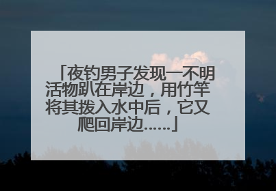 夜钓男子发现一不明活物趴在岸边，用竹竿将其拨入水中后，它又爬回岸边……