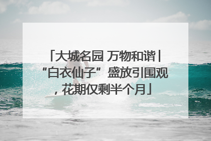 大城名园 万物和谐│“白衣仙子”盛放引围观，花期仅剩半个月