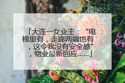 大连一女业主：“电梯里有，走廊两端也有，这令我没有安全感”，物业最新回应……