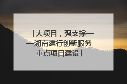 大项目，强支撑——湖南建行创新服务重点项目建设