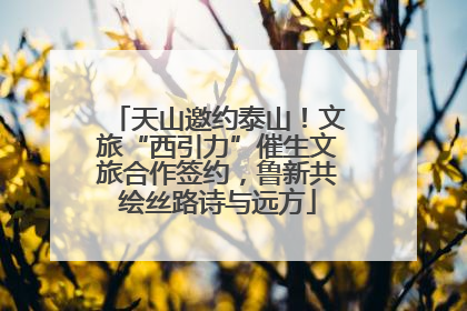 天山邀约泰山！文旅“西引力”催生文旅合作签约，鲁新共绘丝路诗与远方