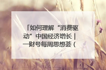 如何理解“消费驱动”中国经济增长｜一财号每周思想荟（第22期）