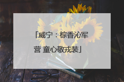 威宁：棕香沁军营 童心敬戎装