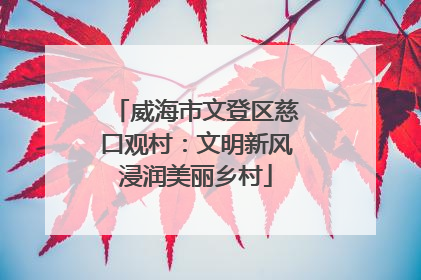 威海市文登区慈口观村：文明新风浸润美丽乡村