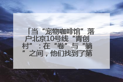 当“宠物咖啡馆”落户北京10号线“青创村”：在“卷”与“躺”之间，他们找到了第三种生活公式