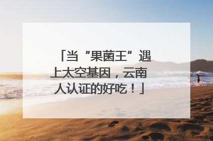 当“果菌王”遇上太空基因，云南人认证的好吃！
