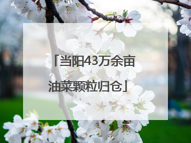 当阳43万余亩油菜颗粒归仓